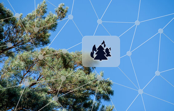 Konzept Waldbrand und Umweltschutz durch digitale Technologie. Ein Netzwerk &uuml;berwacht den Wald, erkennt Br&auml;nde fr&uuml;hzeitig und sch&uuml;tzt die Natur vor Gefahren.