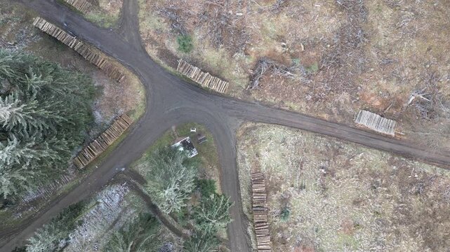 Remote drone view of a logging area in Thuringia, Germany. Dirt roads intersect through a forest with clearcut sections and piles of harvested timber.