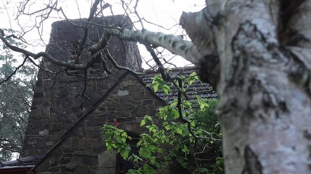 Moody, overcast footage showcases the weathered stone exterior of a historic Olinda church, framed by bare tree branches, lush greenery and rustic textures in soft natural light.