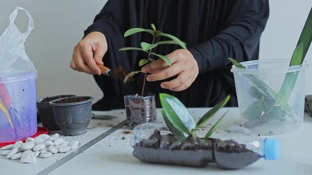ASMR gardening video of planting young green sprout into upcycled plastic bottle pot using trowel