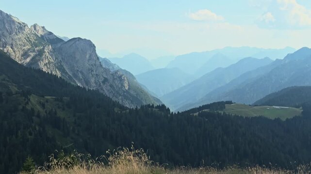 Expansive view of the adamello brenta nature park mountains. Foggy morning haze drifts through the lush green pine tree forest valleys