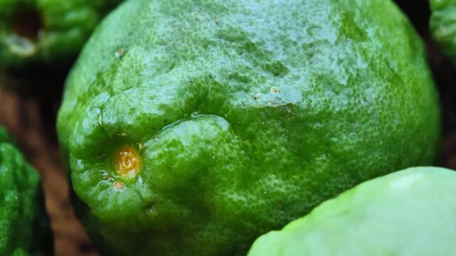 Close Up of Fresh Makrut Lime