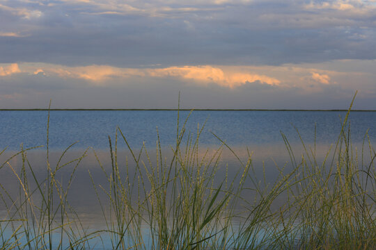 Serene horizon over calm water with tall grasses in the foreground at sunset