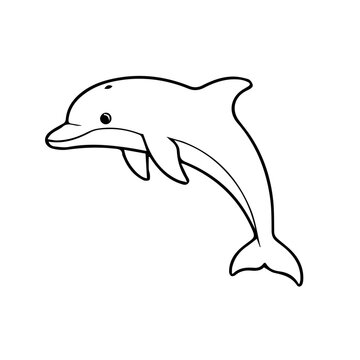 dolfin