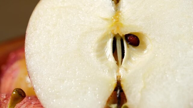Close-Up of Red Apple Covered with Water Droplets	