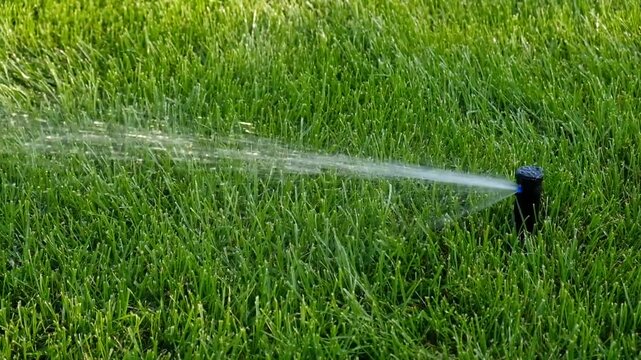 Automatic garden irrigation system watering lawn. Savings of water from sprinkler irrigation system with adjustable head. Automatic equipment for irrigation and maintenance of lawns, gardening.