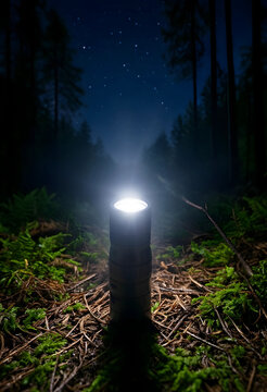 Exploration and adventure in the dark forest, bright flashlight illuminating mossy ground under a starry night sky