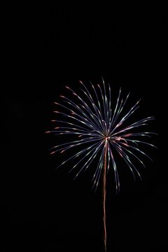 空に咲く花
