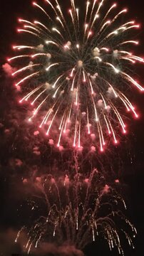 Colorful fireworks exploding in the dark night sky