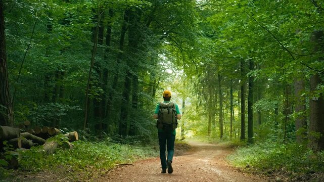 Male hiker with backpack walking on a scenic dirt road in a lush green forest, slow motion 