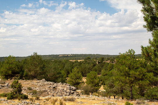 Limestone rock formations shaped by natural erosion at Los Callejones de Las Majadas in the Serran&iacute;a de Cuenca, Castilla-La Mancha, Spain.