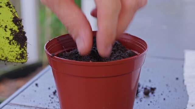 Hands Pour Dark Potting Soil into a Red Plastic Pot, Preparing Container Gardening With Care and Growth