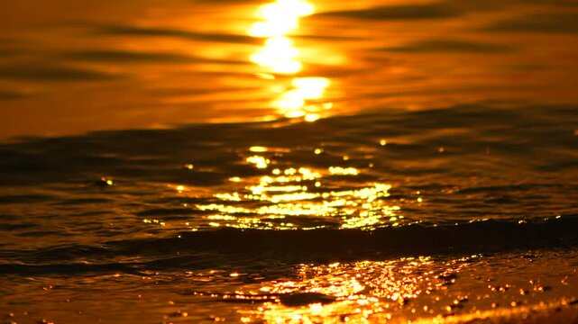 Sunlit coastal tides wash against a sandy shore during golden hour. Stationary close-up ground level shot.
