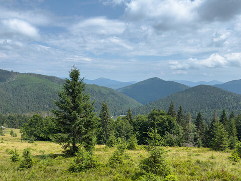 A panorama of the Carpathian Mountains overlooking Lake Synevyr in Ukraine. Dense hills covered in pine trees beneath a blue sky. Summer hiking adventure