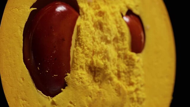 Cut Canistel Reveals Glossy Brown Seeds and Golden Pulp in an Extreme Macro View, Highlighting Fresh Natural Fruit Texture and Healthy Eating