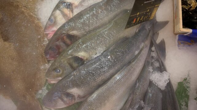 Freshly caught Atlantic sea bass and flatfish displayed on crushed ice, ready for sale at a seafood market