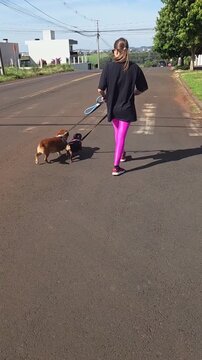 Mulher passeando com cachorros pela rua 