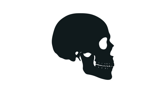 Halloween Minimalist Skull Silhouette Vector Set. Human Skull Side Profile. Toxic Skull Icon Contour. Dangerous Skull Sign. Black Skull Vector isolated on White Background vector