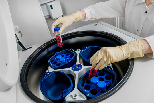 Laboratory specialist in gloves loading test tubes with samples into a centrifuge.