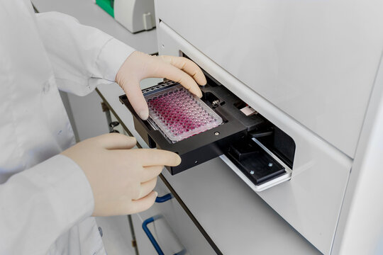 Scientist in gloves inserting a microplate with samples into a laboratory analyzer.