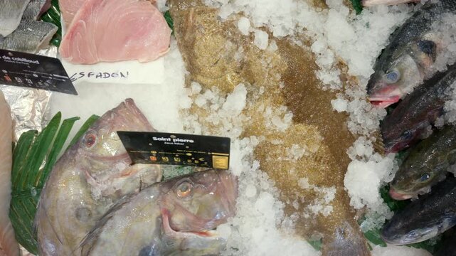 Variety of fresh fish, including John Dory, sole, sea bass, and swordfish fillet, displayed on crushed ice at a fish market