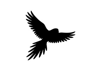 Fototapeta premium Black silhouette of a parrot flying