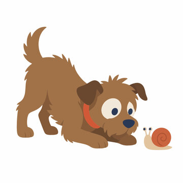 Vector illustration of a brown scruffy dog wearing an orange collar crouched down on a white background looking curiously at a small snail with a spiral shell.