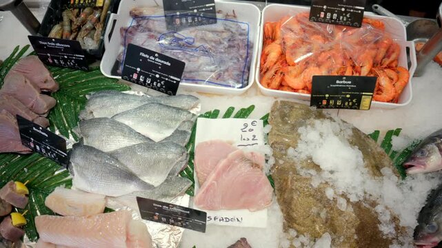 Assortment of fresh fish, shrimp, squid, and tuna steaks visible on ice with price labels in a market display