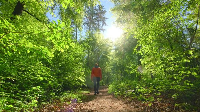 Hiker enjoying a relaxed walk in a lush forest on a glorious spring day, with fresh vibrant green of the leaves illuminated by the tranquil sunlight