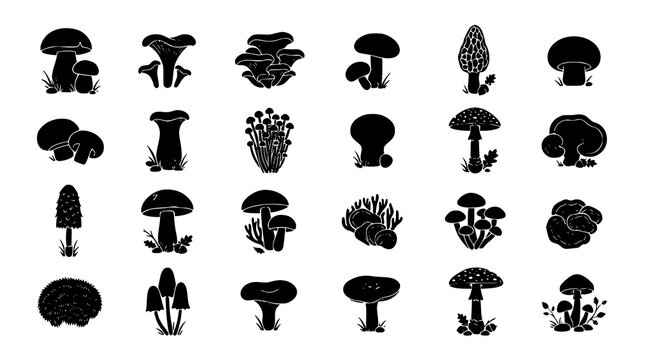 Mushroom Fungi Silhouette Collection Minimalist Black Vector Sheet 24
