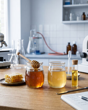 Authentic and Adulterated Honey Comparison.