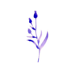 Obraz premium Hand drawn watercolour branches set. Purple plants branches with leaves and buds use as print, poster, element design, floral illustration, card, invitation desigh, textile, wrapping paper, floral ele