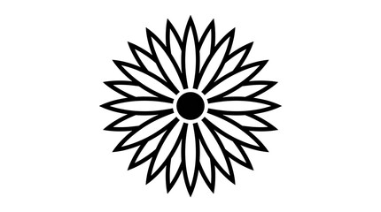 Obraz premium black and white star