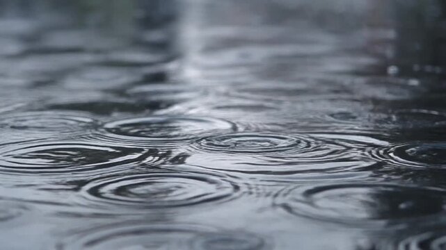 Raindrops Creating Ripples on Wet Pavement