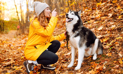 Woman in bright raincoat is having fun with her dog in an autumn park. Young woman enjoys autumn in park, walking husky outdoors. Concept of friendship, animals, and walking. Lifestyle. © maxbelchenko