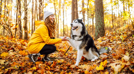 Woman in bright raincoat is having fun with her dog in an autumn park. Young woman enjoys autumn in park, walking husky outdoors. Concept of friendship, animals, and walking. Lifestyle. © maxbelchenko