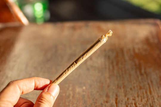 Hand Holding Rolled Cannabis Joint, Warm Sunlight