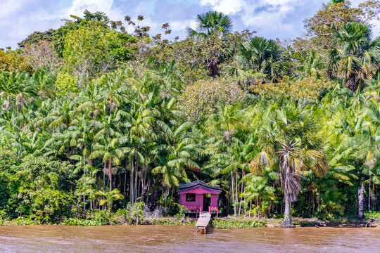 Colorful pink riverside wooden house with small dock nestled in dense Amazonian palm forest, Para, Brazil