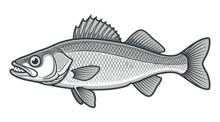 Fototapeta premium Walleye fish line art profile facing left.