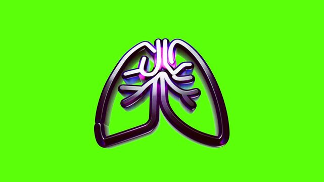 Metallic human lungs icon representing internal anatomy and respiratory system health on a green background