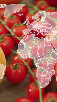 Animation of world map over fruits and vegetables