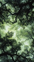 Fototapeta premium A vibrant green canopy viewed from below, lit by soft sunlight filtering through leaves