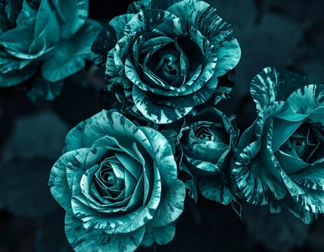 fiori