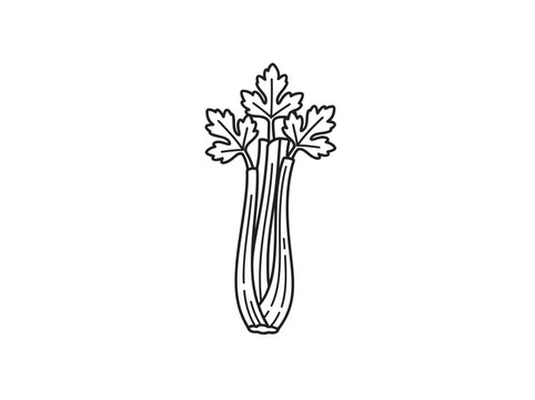 Minimalist celery stalk plant outline.