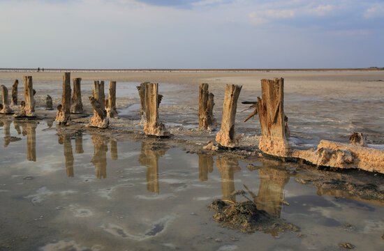 Ancient wooden posts in a salt lake with reflections at sunset