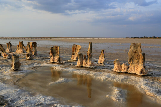 Ancient wooden posts emerge from a salt lake with mineral deposits