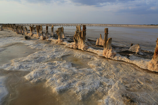 Ancient wooden posts encrusted with salt stand in a shallow, mineral-rich lake