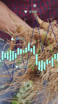 Financial data charts animation over farmer harvesting crops in field