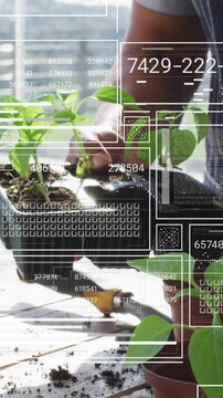 Gardening and planting seedlings, data analysis animation over plants and hands