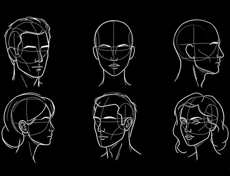 human skull anatomy sketch